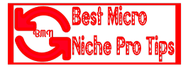 Best Micro Niche | Make Money Online Tips | SEO