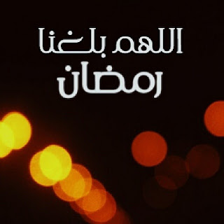 new_1433611266_603