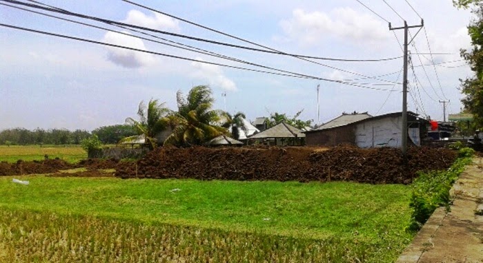 Jalur Hijau di Jembrana Dialihfungsikan