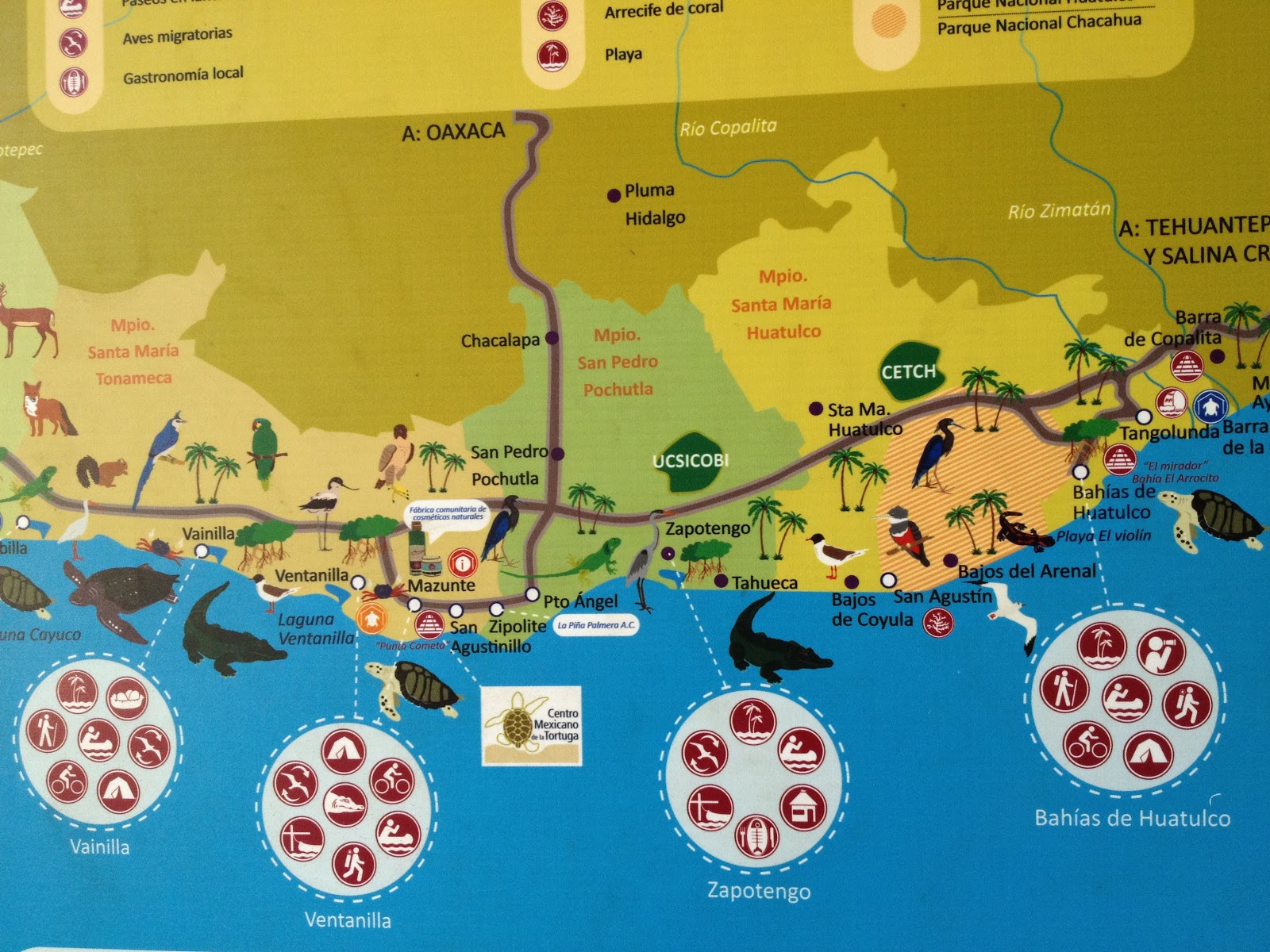 Los Bicitantes, México. Mas Mazunte