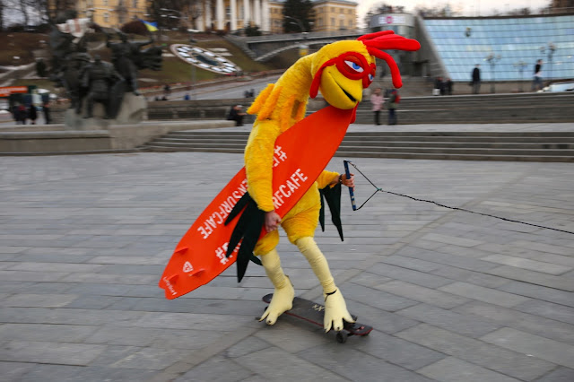 Петух серфер наводит шороху в Киеве