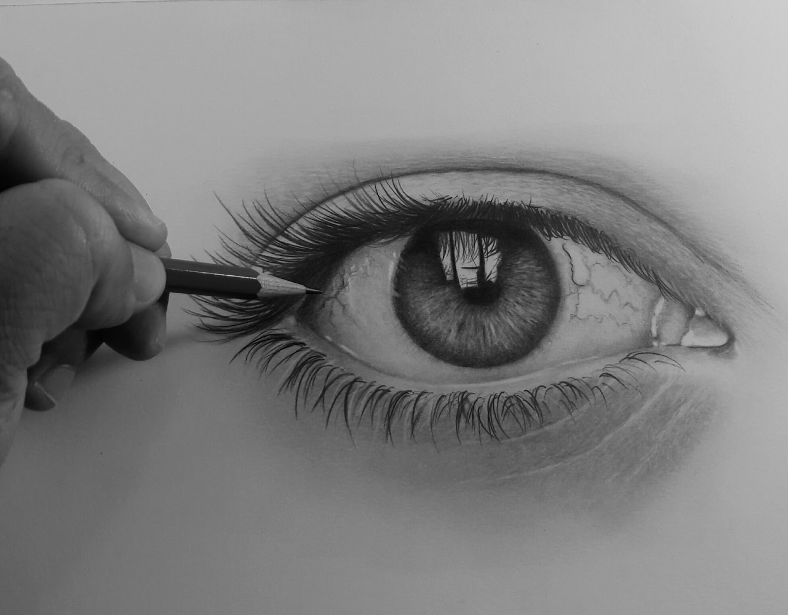 MEU CURSO DE DESENHO REALISTA PARA INICIANTES ~ Blog Reginaldo Artes