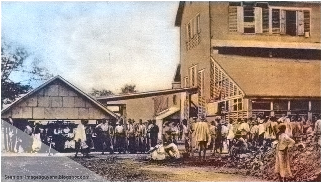 ImagesGuyana Pay Day on Sugar Estate, Demerara