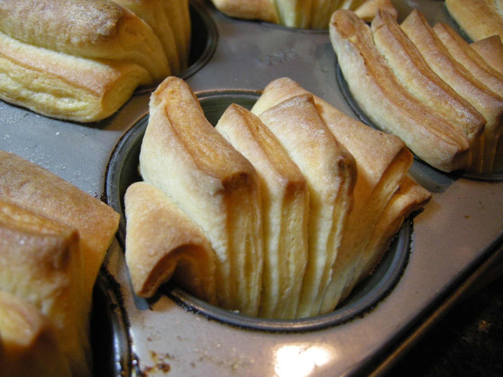 Kitchens Are Monkey Business: Rosie Makes Buttery Fan Rolls.