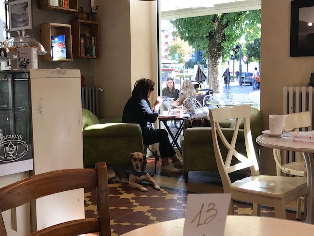 ティラーノのカフェの中で犬と一緒に食事をとる女性