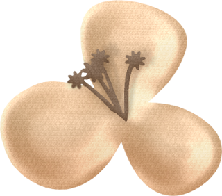 Flores del Clipart de Ositos con Rosas y Corazones. Flores del Clipart de Ositos con Rosas y Corazones.