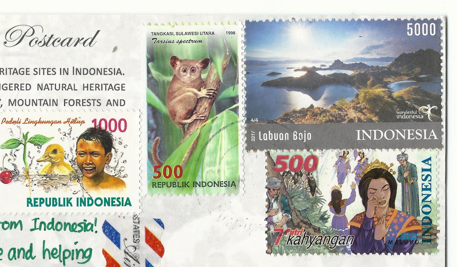 19+ Tropical Rainforest Heritage Of Sumatra Animals Images