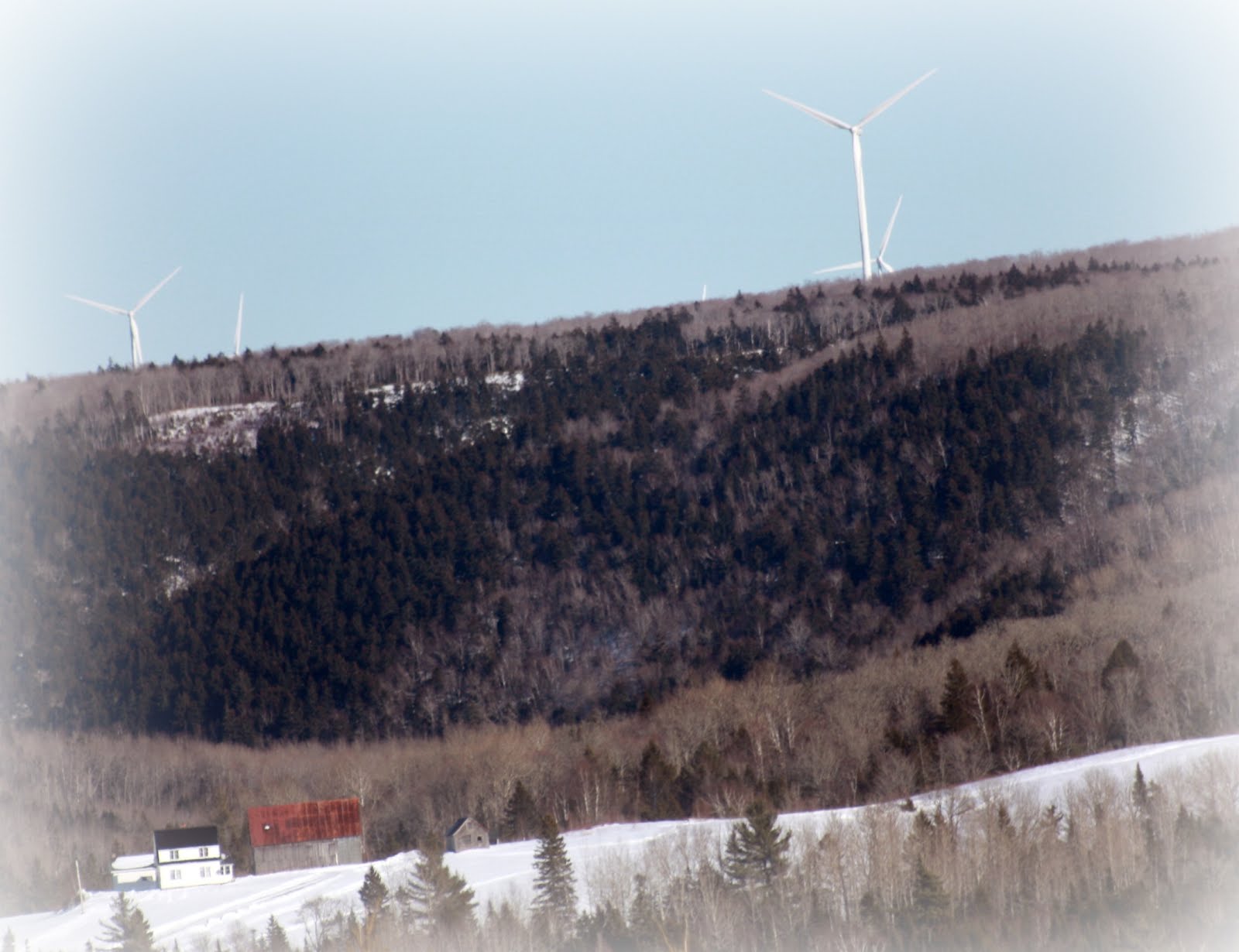 Carol Steel Albert County, NB