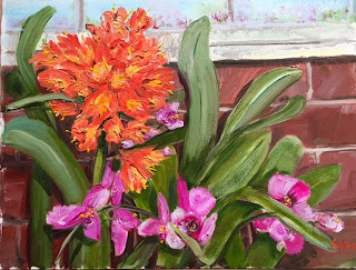 Orchids and Amaryllis, Kath Schifano