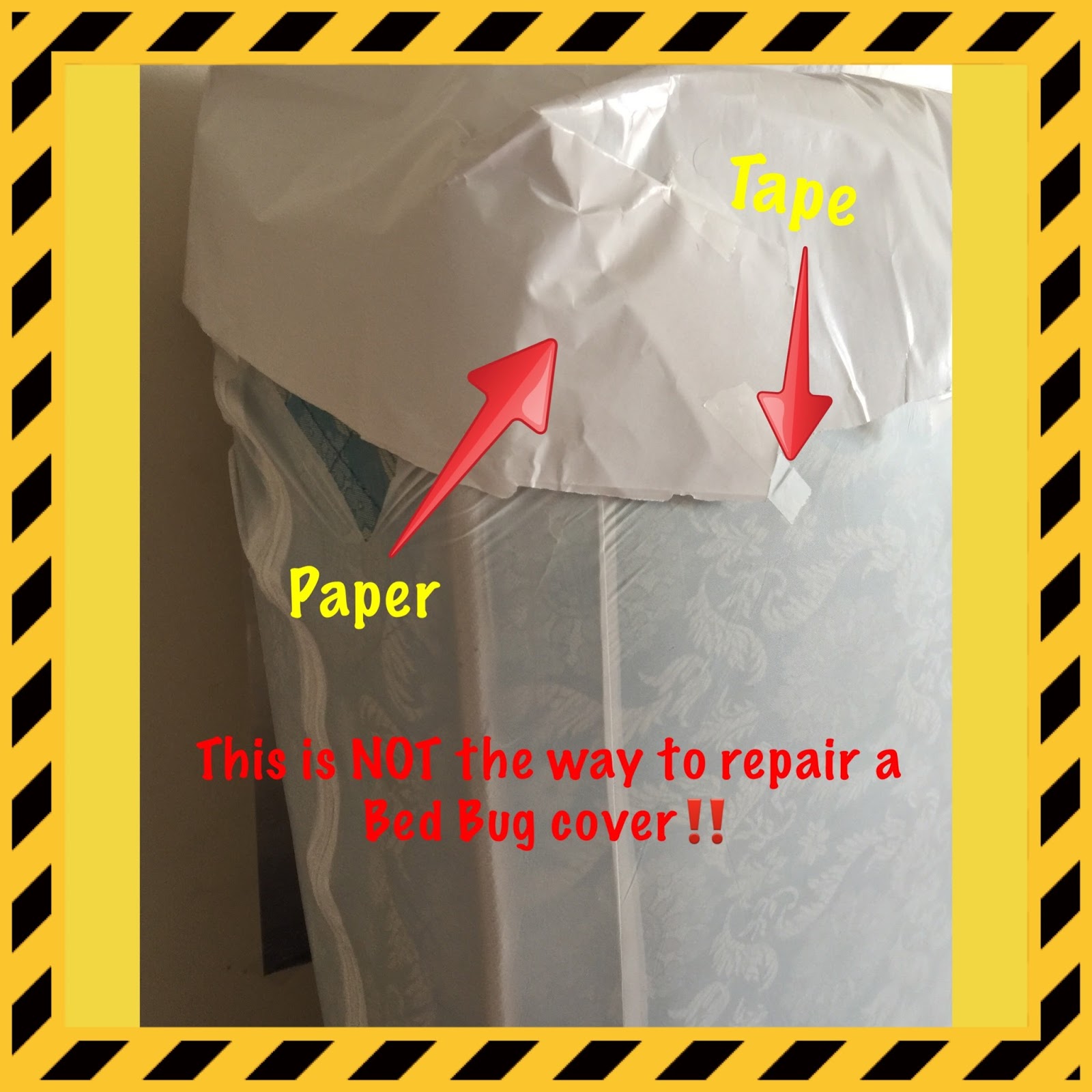 Bed Bugs Toronto Heat Treatment, Exterminator and Detection help