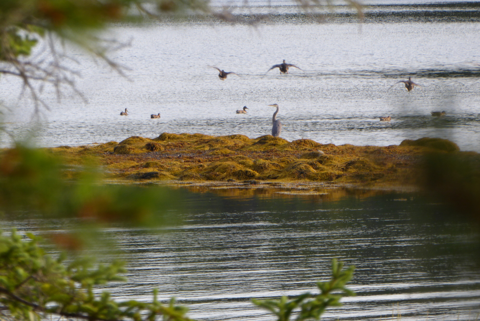 Travels with Gord and Cathie Whale Cove NS to Shelburne and The