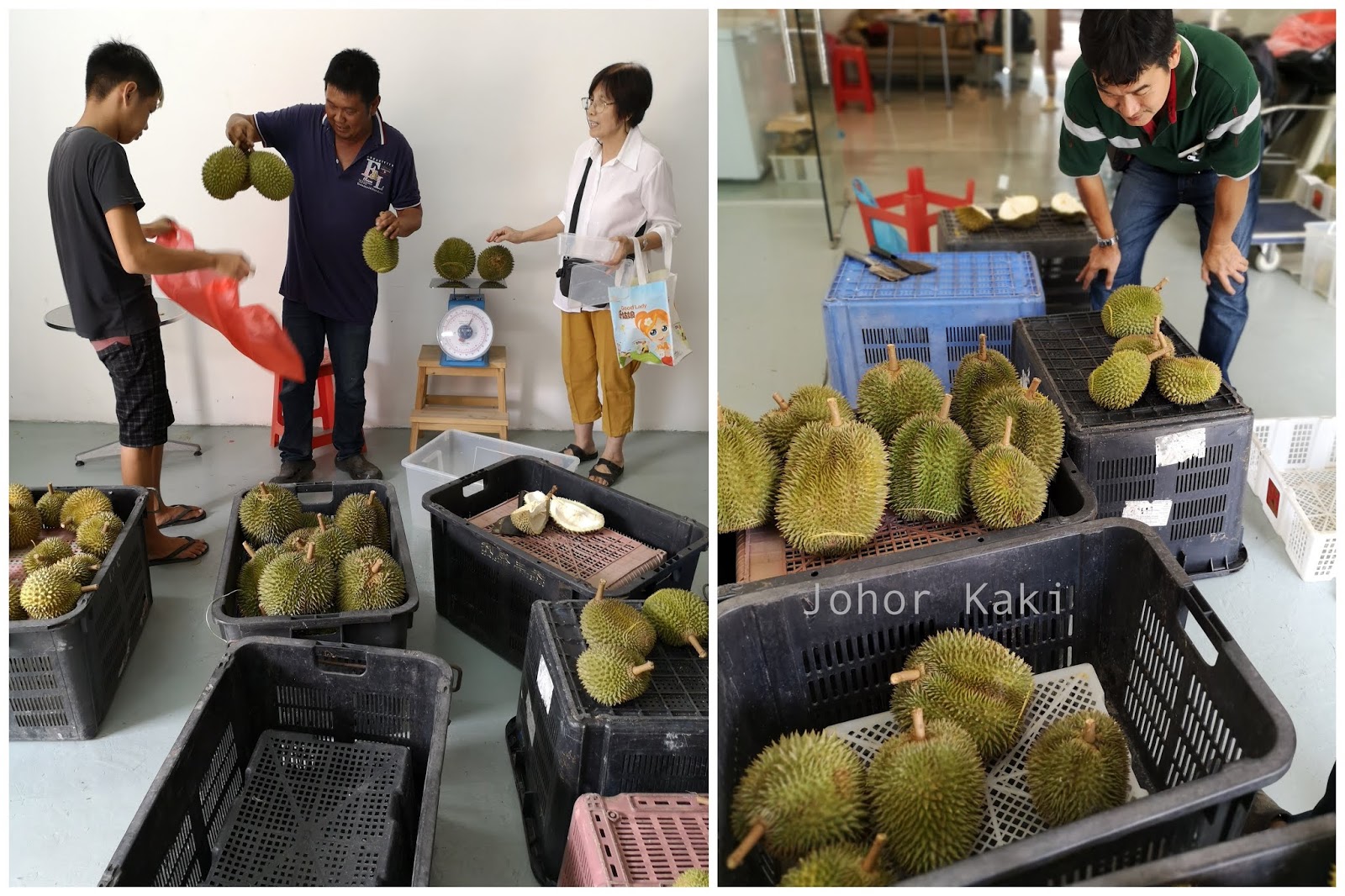 Where To Buy Durian In Jb Johor Bahru Ana Fruit Trading Atarah Hair Studio In Ulu Tiram Johor Kaki Travels For Food Where To Buy Durian In Jb Johor Bahru Ana Fruit Trading Atarah Hair Studio In Ulu Tiram Johor Kaki Travels For Food