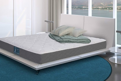 Pure Talalay Bliss Nature Or Nutrition Latex Mattress?