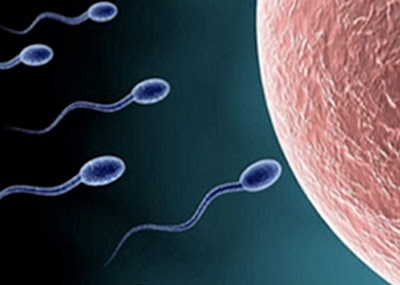 Sperm%2B34