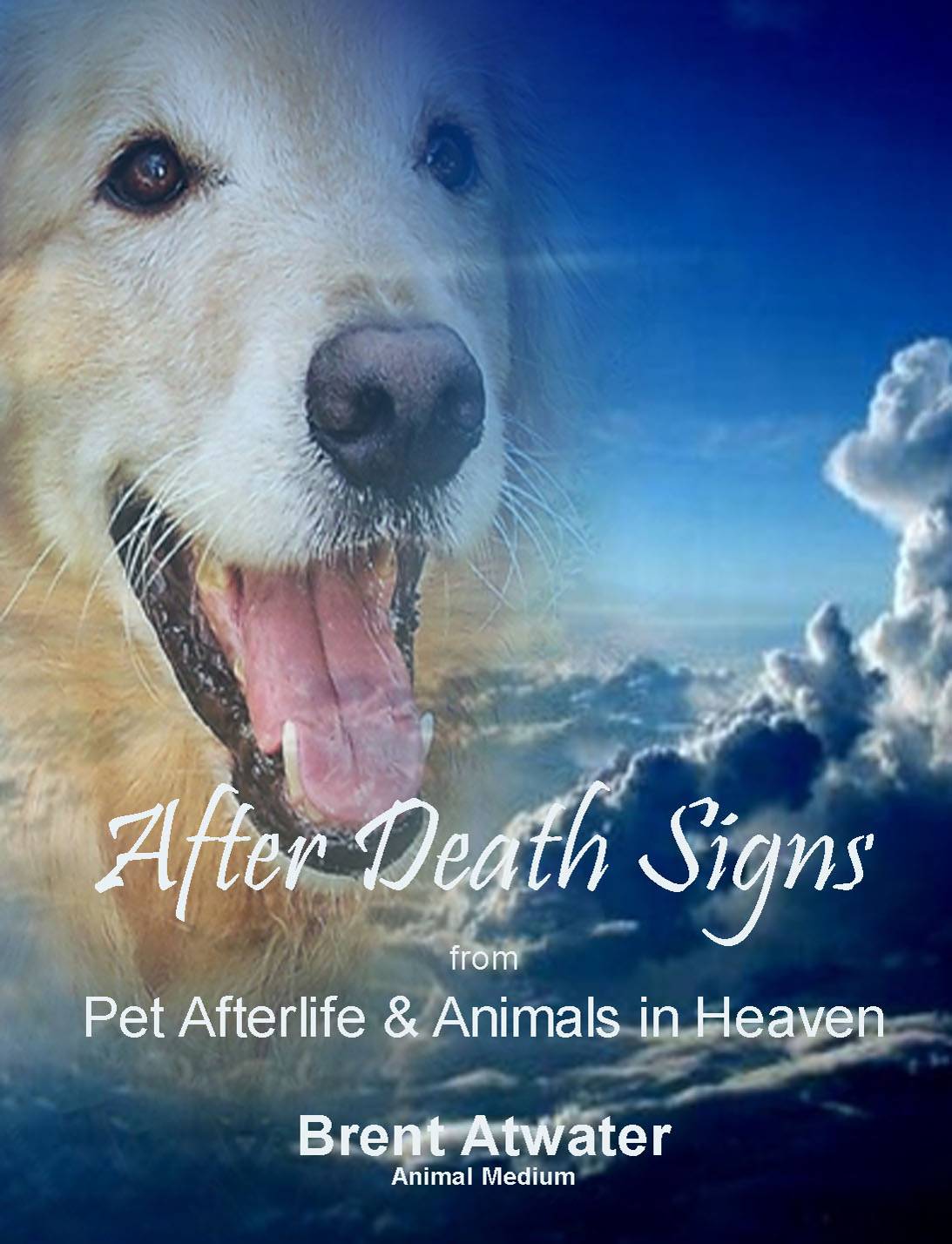 Signs from Pet Spirits in the Afterlife & Other After Death Signs