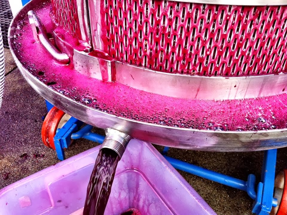 Sean P Sullivan Washington Wine Report October 2013