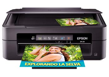epson expression xp-211 drivers
