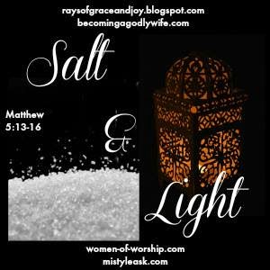 Salt & Light Link up {Rays of Grace & Joy}