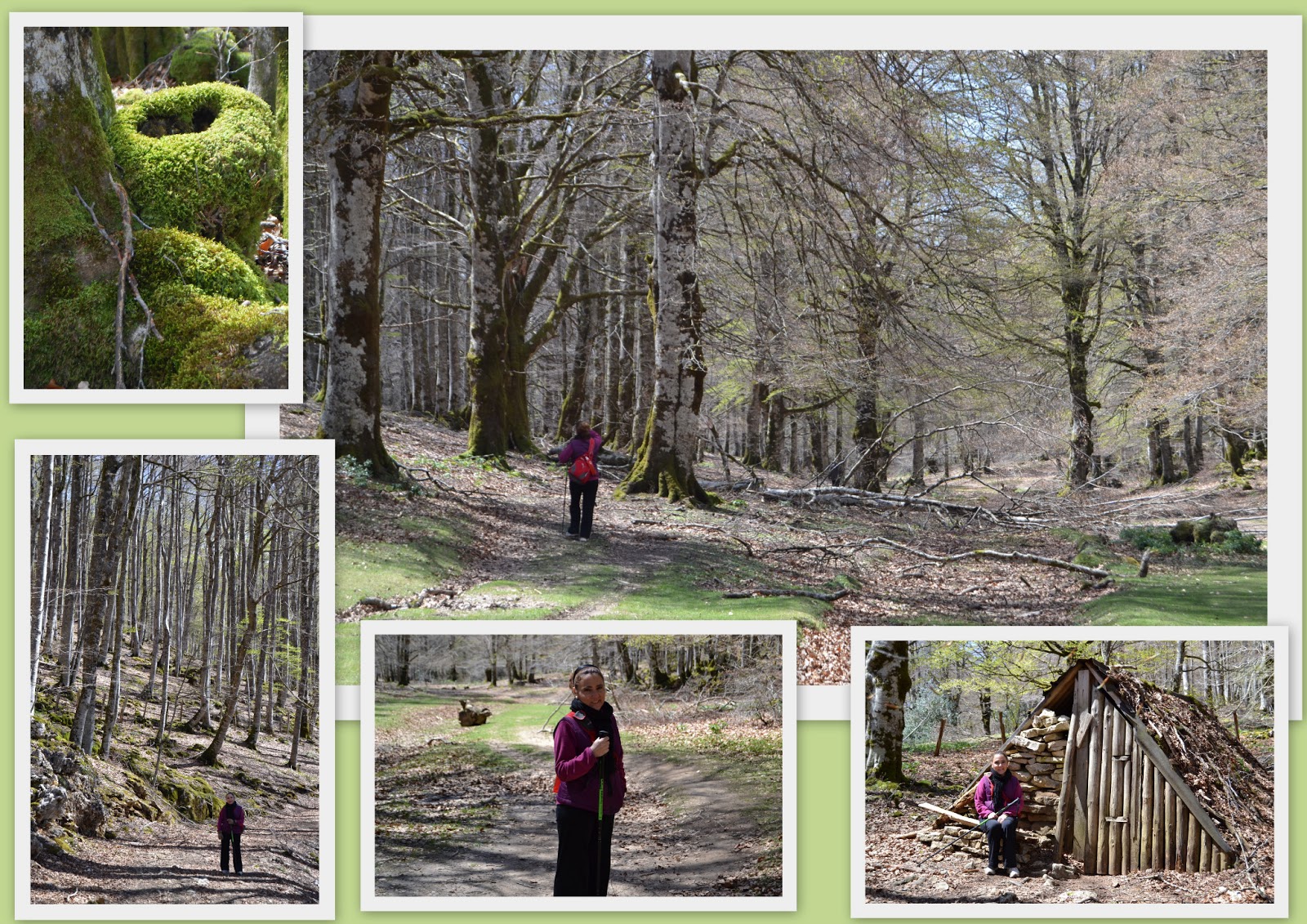 dias de chicas Ruta 6 El bosque encantado (urbasa)