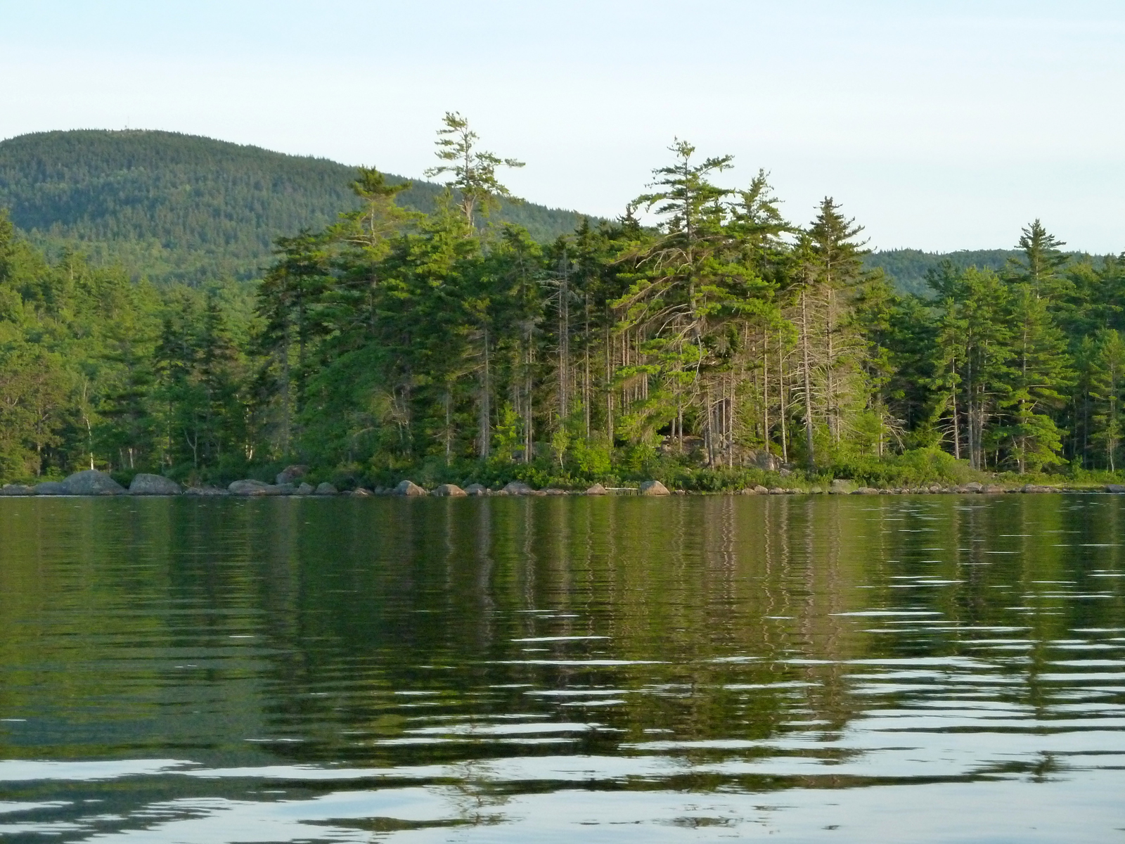 Quercus Design Hutchins Camp/Donnell Pond, Franklin, Maine; July 23, 2011