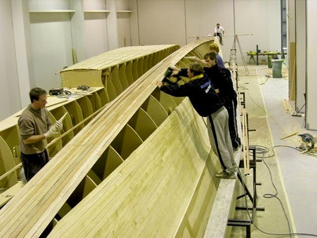 Le Paulownia Arbre De L Avenir Bois De Paulownia