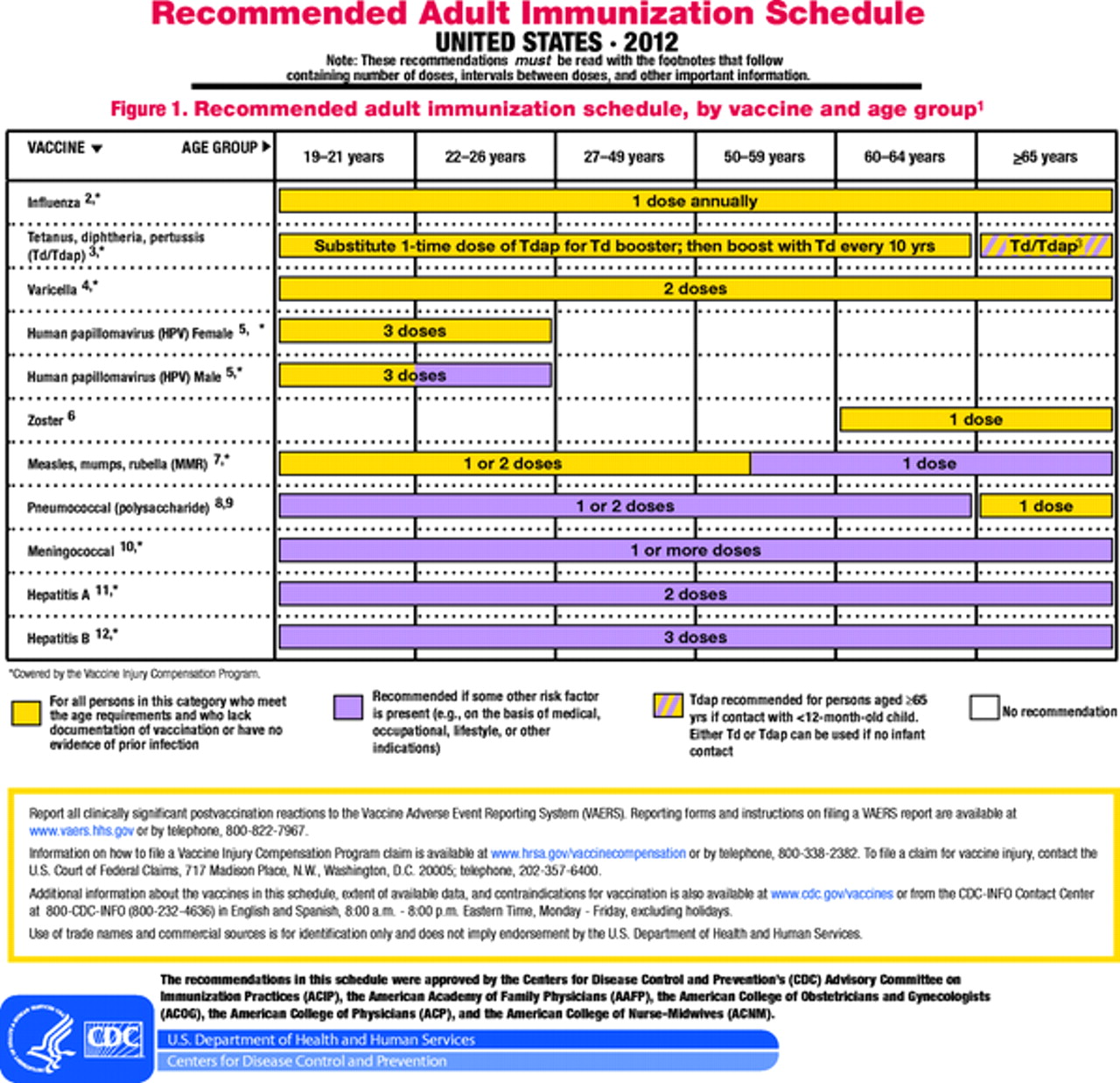 Adult Immunizations 77