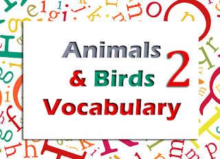 Animals and Birds Vocabulary Part 2