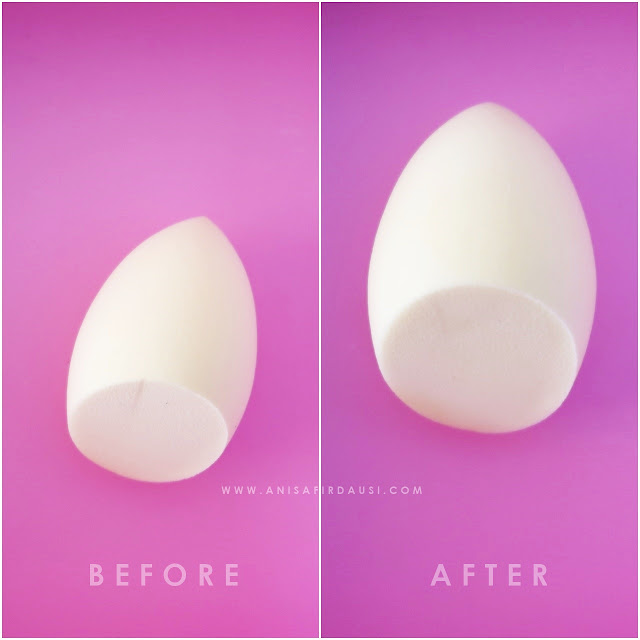 Review Fanbo Perfect Bounce Beauty Blender Anisa Firdausi
