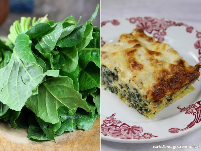 Variations Gourmandes Lasagnes Aux Blettes Ricotta Parmesan Et