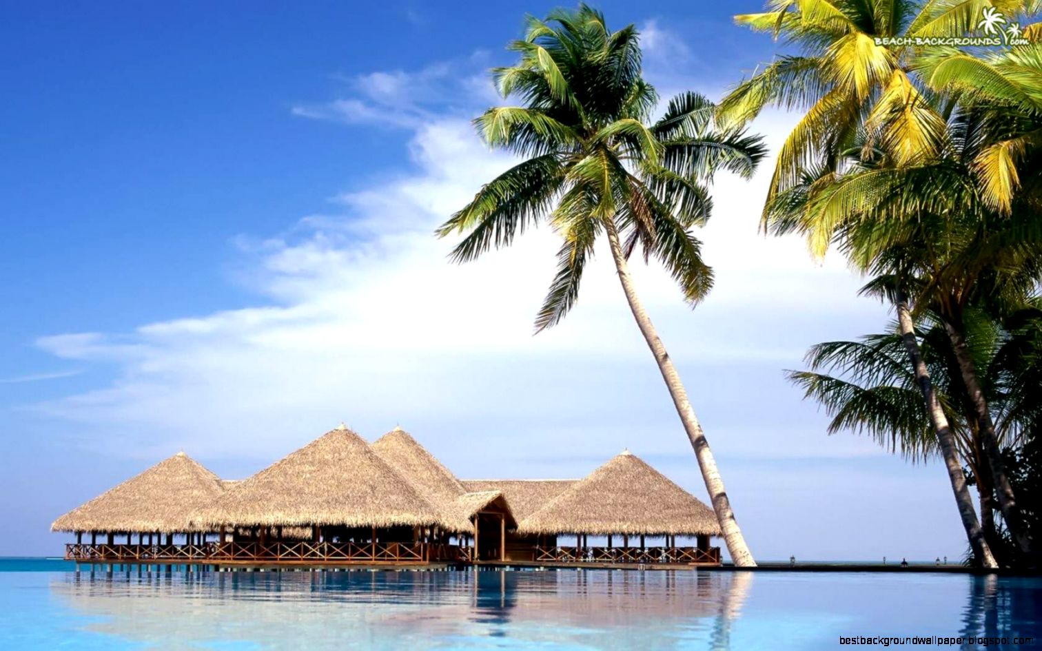 summer beach scene wallpaper o