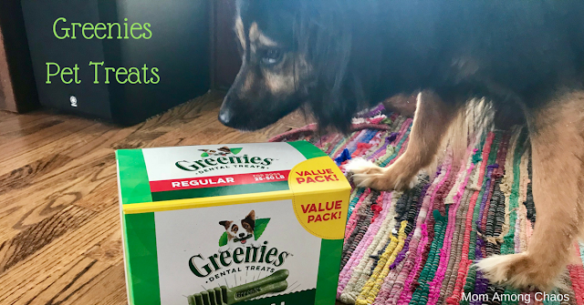 Greenies Pet Treats, pet treats, DIY, Greenies Smoochables, dog, plaque, for teeth, chewy, dogs, DIY, 