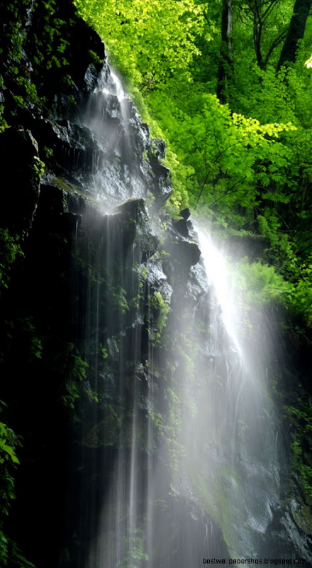 Nature iPhone 6 Wallpapers HD