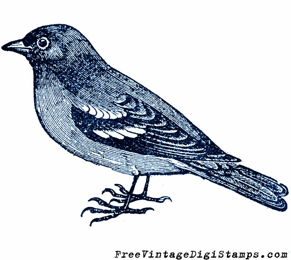 free-vintage-digital-stamps-free-printable-image-sweet-sparrow-bird