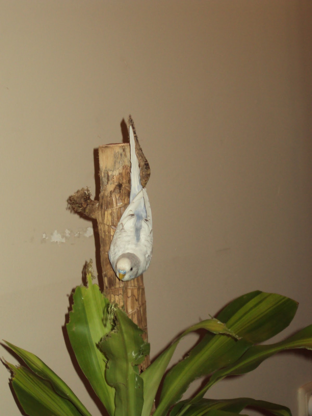 Budgies are Awesome Toxic plants for budgies