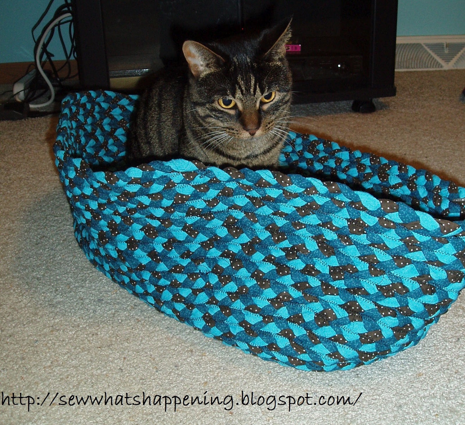 Sew What's Happening? Braided pet bed