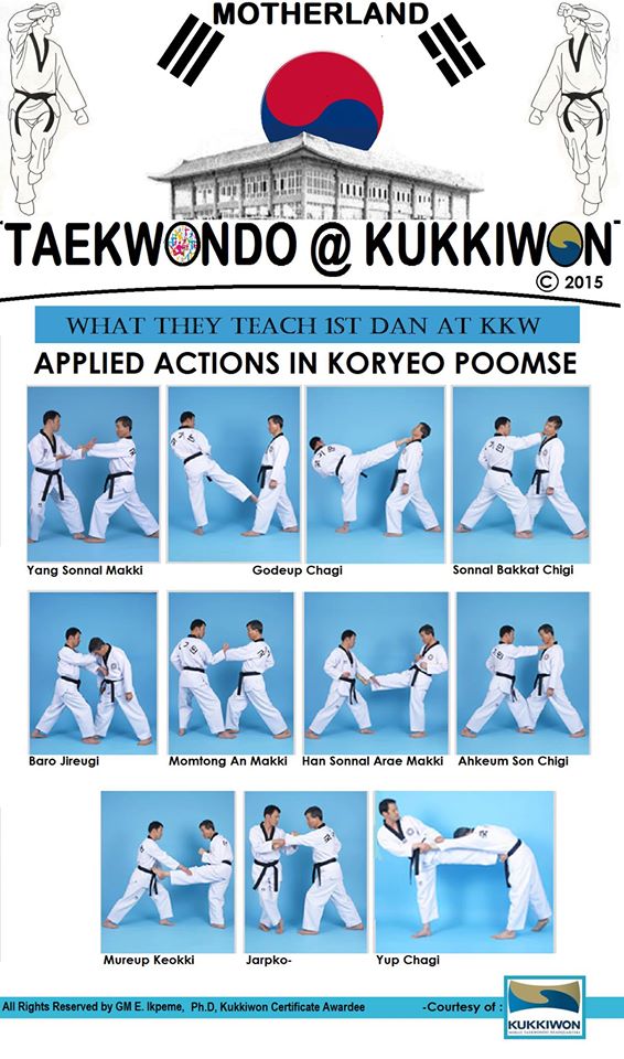 1st dan taekwondo