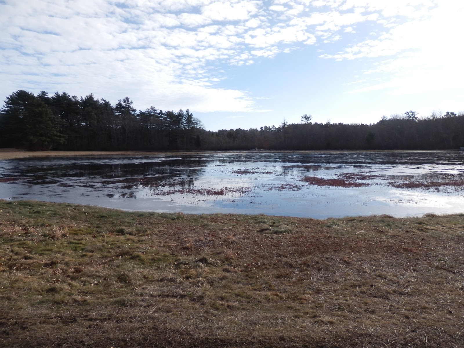 Hike Plymouth and Beyond! Duxbury Round Pond Conservation Area
