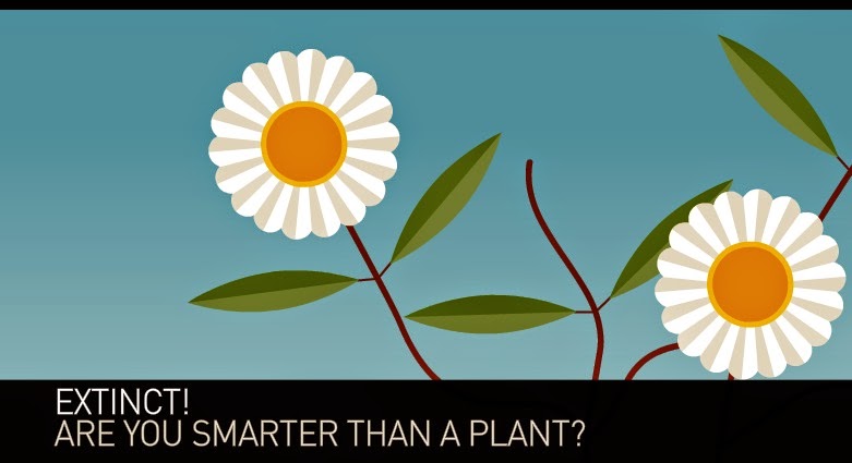 Are you smarter than a plant?