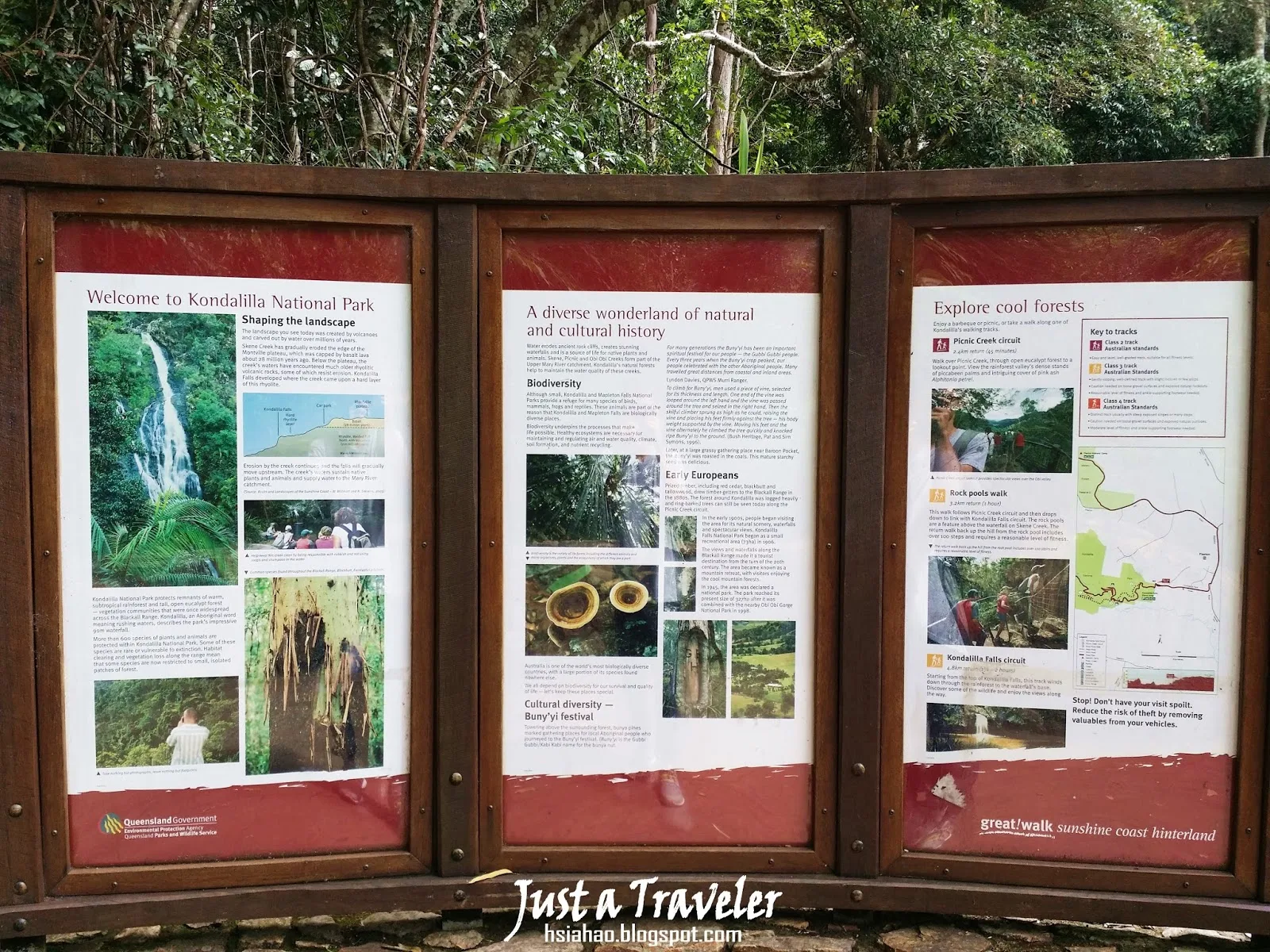 布里斯本-國家公園-登山-爬山-Kondalilla-National-Park-Brisbane
