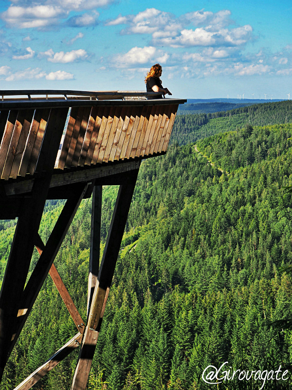 ellbachseeblick kniebis