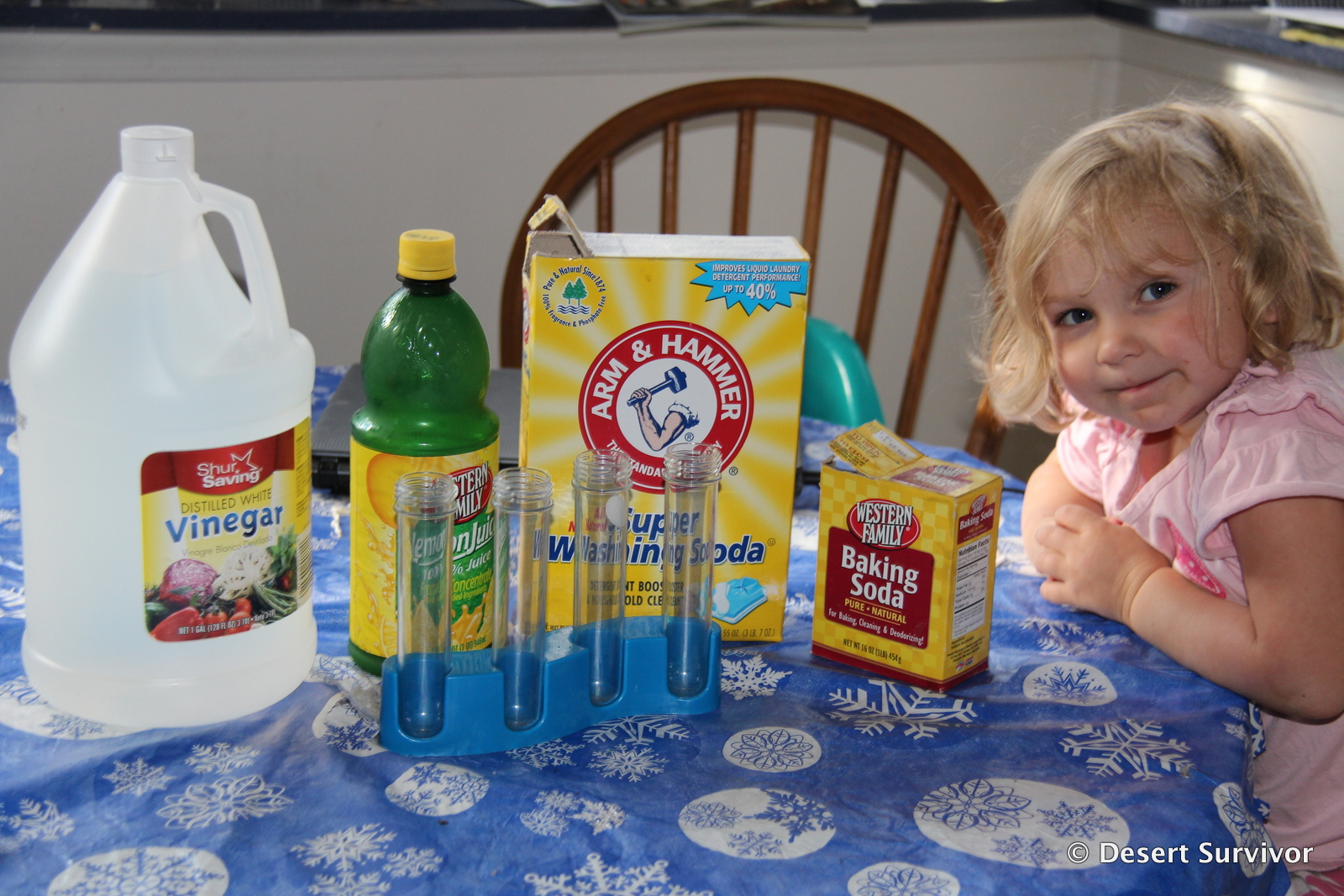 Desert Survivor The Red Cabbage Juice Science Experiment