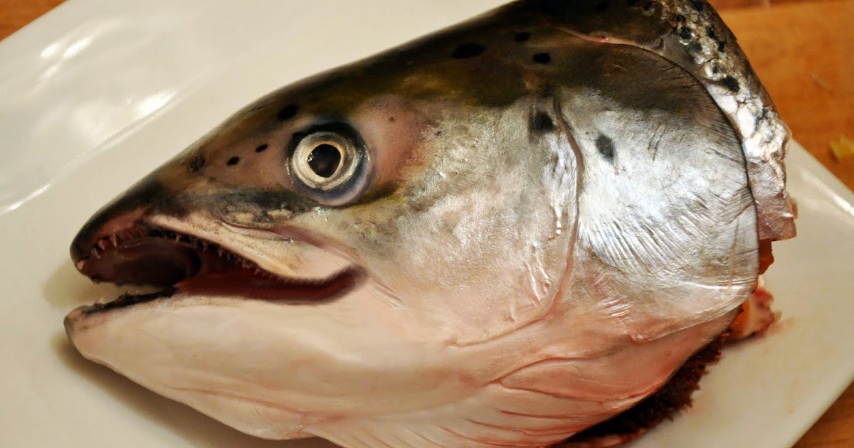 Голова рыбы. Рыбьи головы. Рыба зимняя голова. Видеть во сне рыба ест рыбу