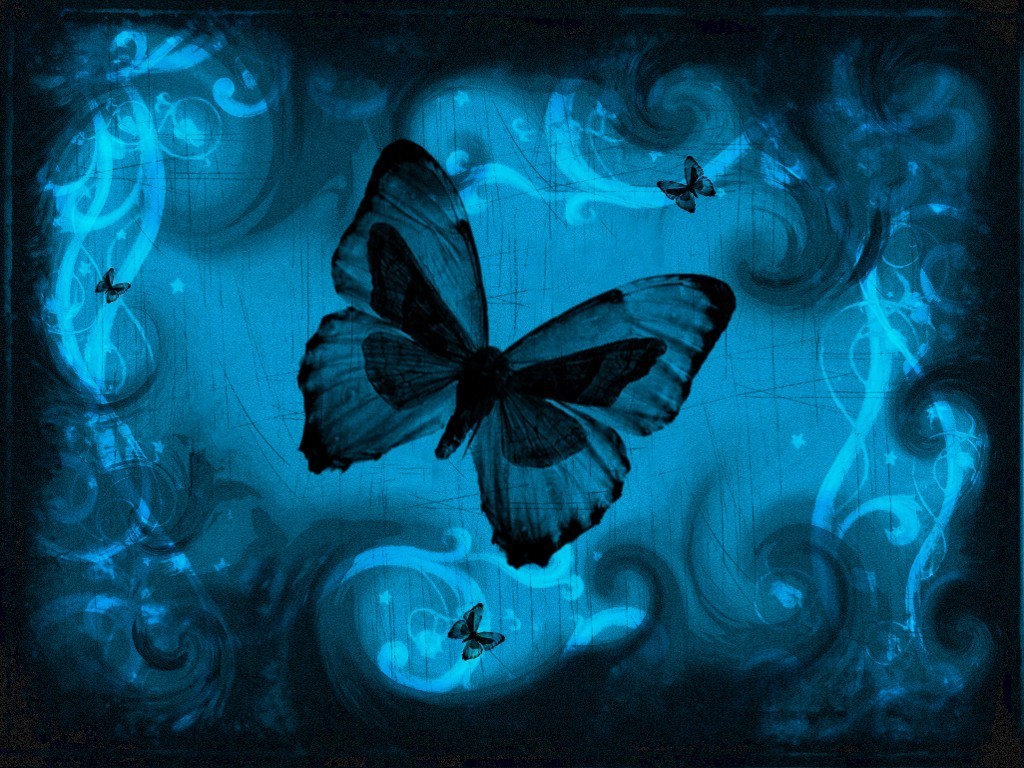 Butterfly design wallpaper Funny Wallpaper