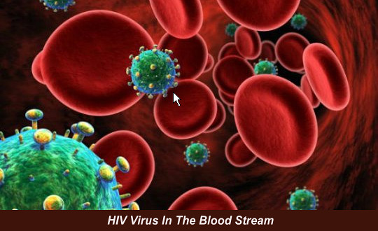 HIV In The Blood Stream