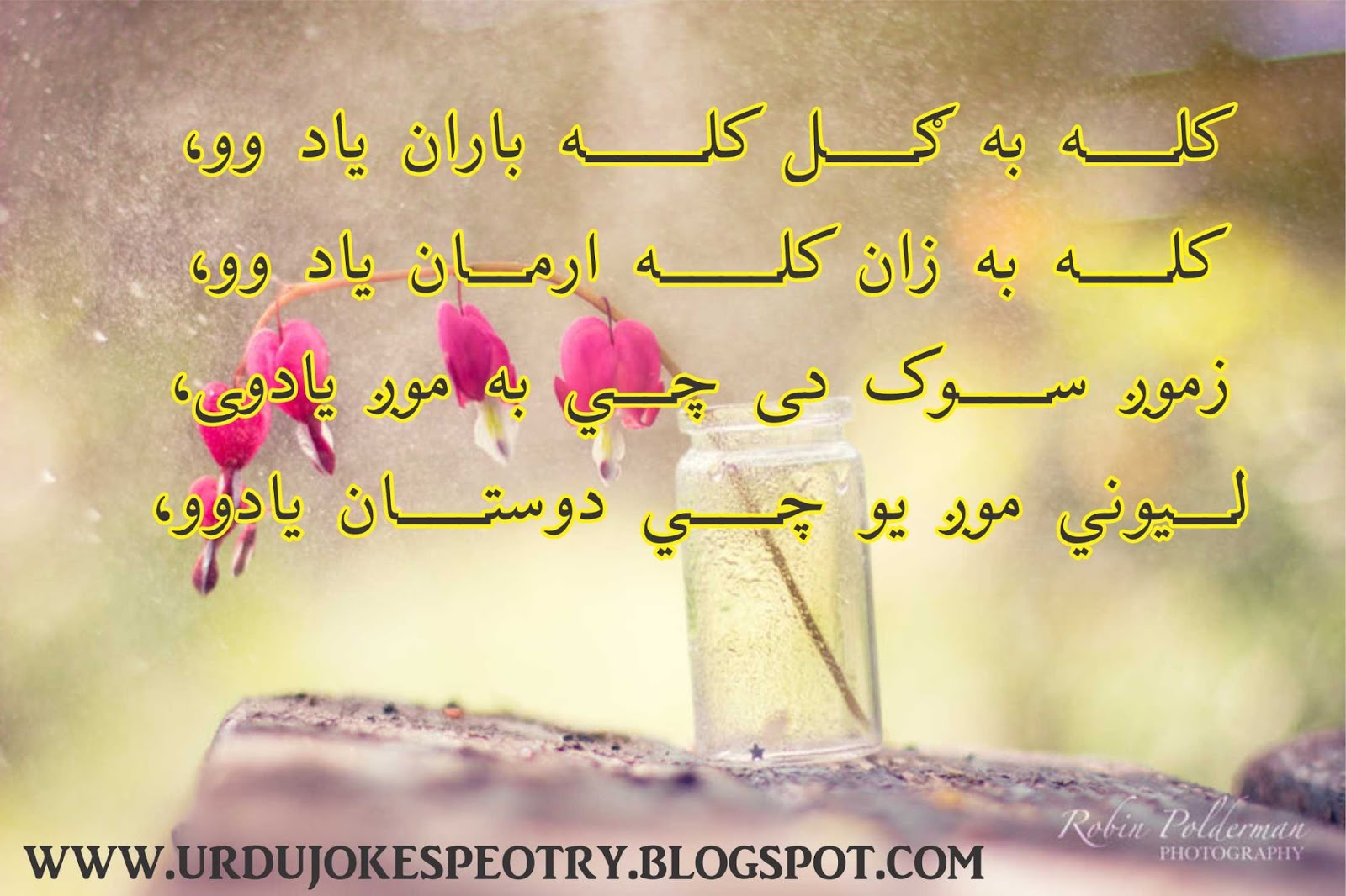 Pashto Poetry Shayari Love Romantic All