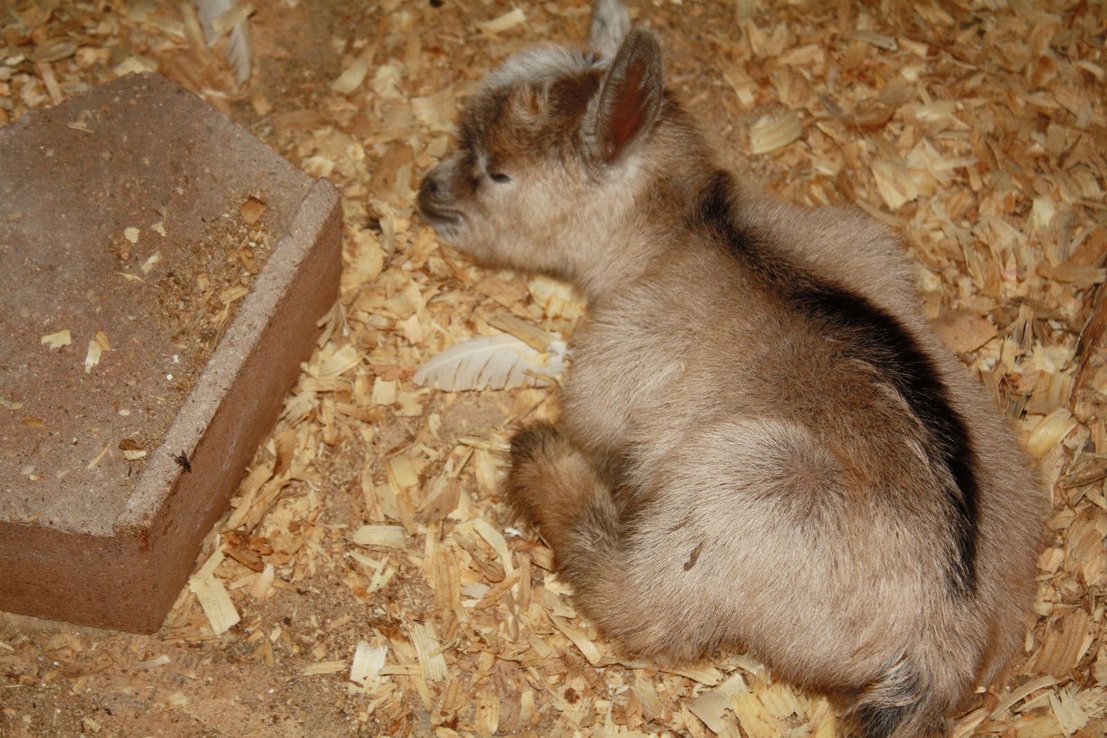 Патч для вов wow-3 2 0 10192-to-3 2 0a 10314-ruru-patc