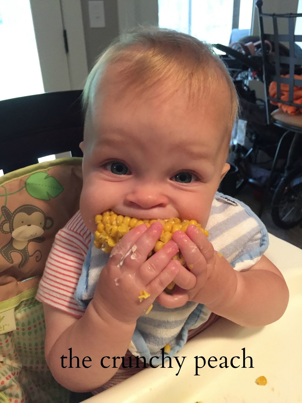 the crunchy peach Baby Led Weaning Nine Month Update