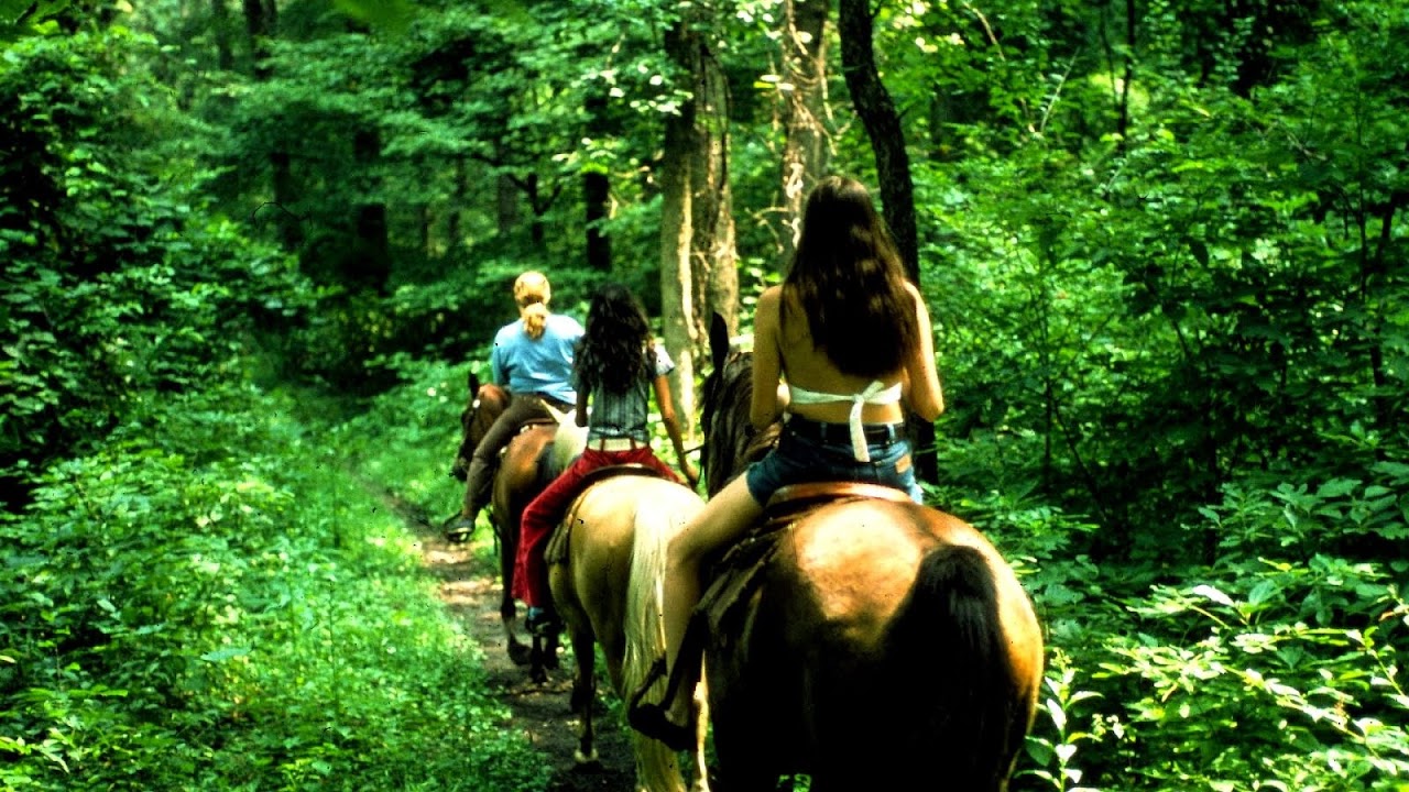 Horseback Riding In North Carolina Horse Choices