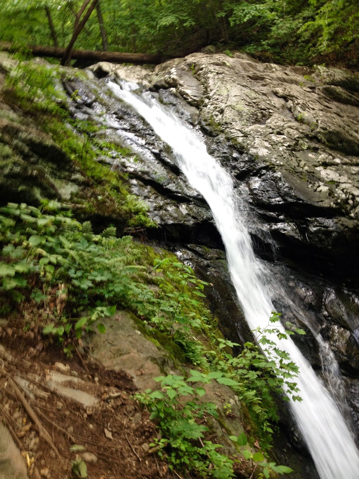 Getting Out of D.C. (Day Trips): Cedar Run Falls (Natural Water Slides)