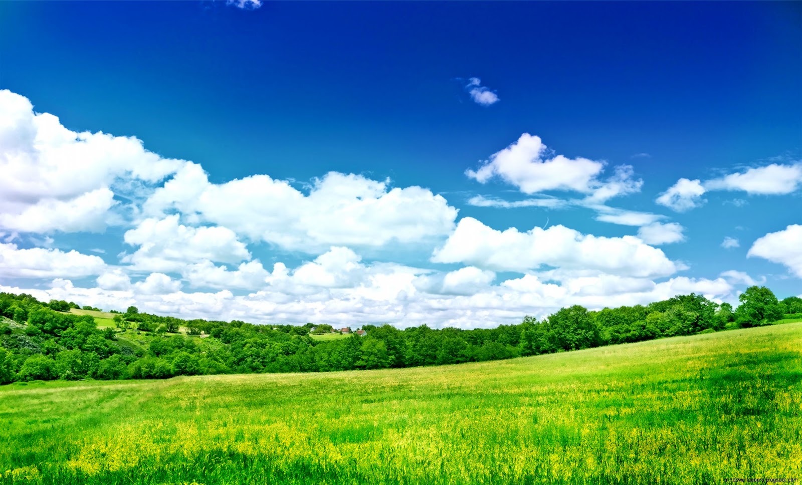 Beautiful Nature Scenery Desktop